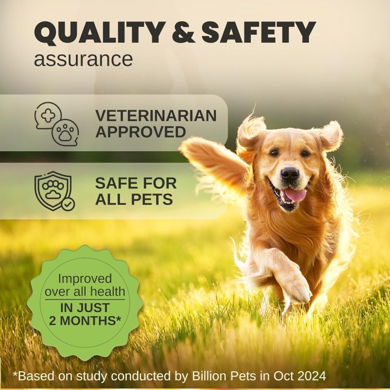 Hemp Oil for Dogs and Cats - Helps with Anxiety, Pain, Stress, Sleep, Arthritis, Seizures Relief - Hip and Joint Support - Calming Drops Treats - Image 7